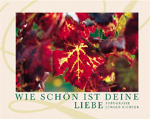 Wie schön ist deine Liebe