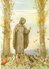 Franziskus predigt den Vögeln - Vogelpredigt