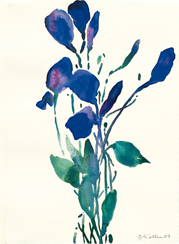 Doppelkarte Blauer Strauß