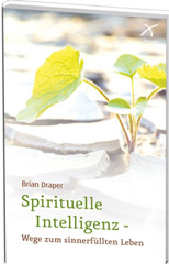 Spirituelle Intelligenz – Wege zum sinnerfüllten Leben