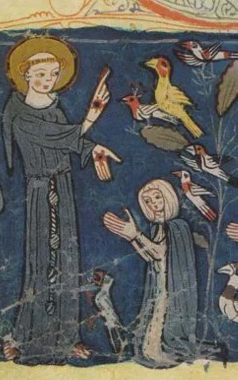 Die Predigt des heiligen Franziskus