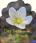 Das Geschenk der Freude