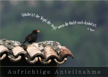 Glaube ist der Vogel ...