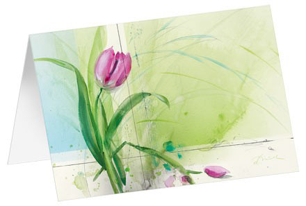 Tulpe